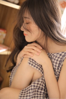 金瓶风月